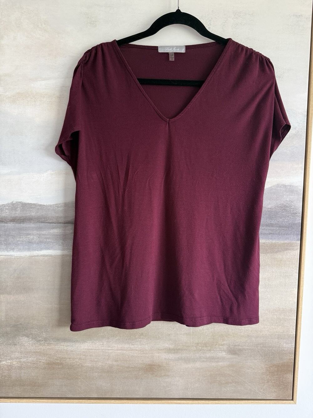 Laila Jayde Maroon Top Modal LP V Neck